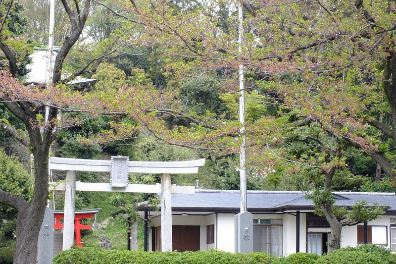 042103白山神社定点