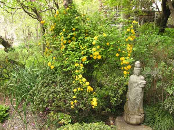 20120422jyokeiji02