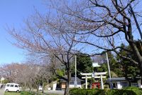 040404白山神社定点