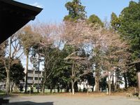 IMG_0031汁守神社_1