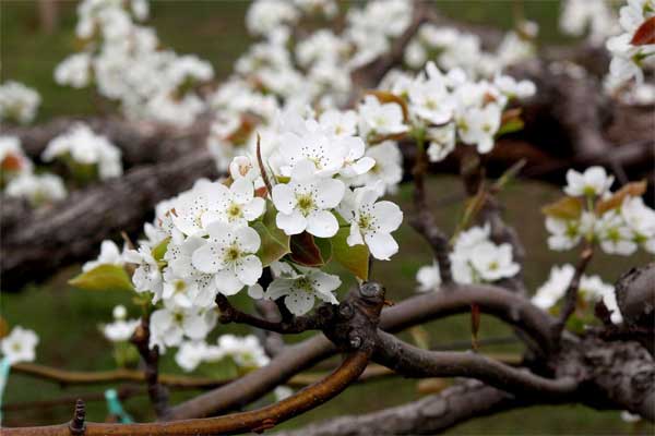 20120413ikuta2cyome01