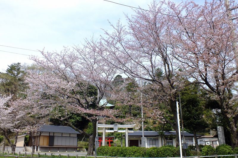 041504白山神社定点