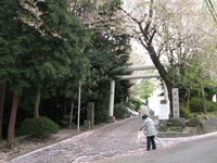 IMG_0045高石神社_1