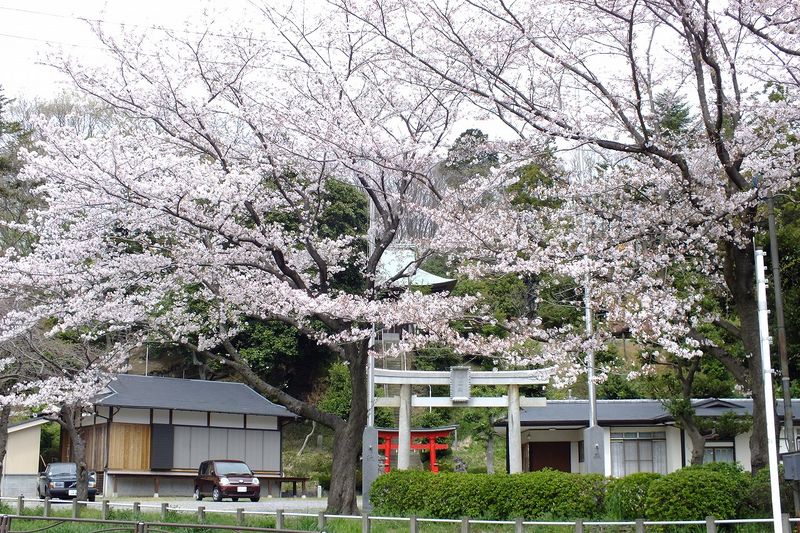 041303白山神社定点