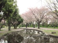IMG_0065稲田公園_1
