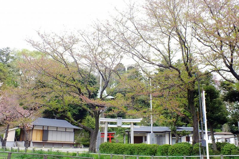 042104白山神社定点