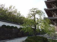 DSC09235