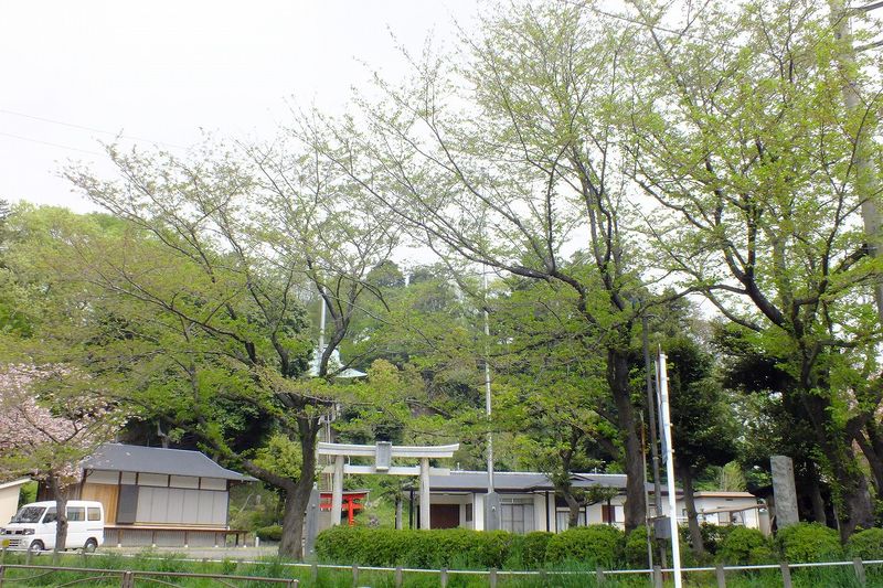 0425F004白山神社定点枝