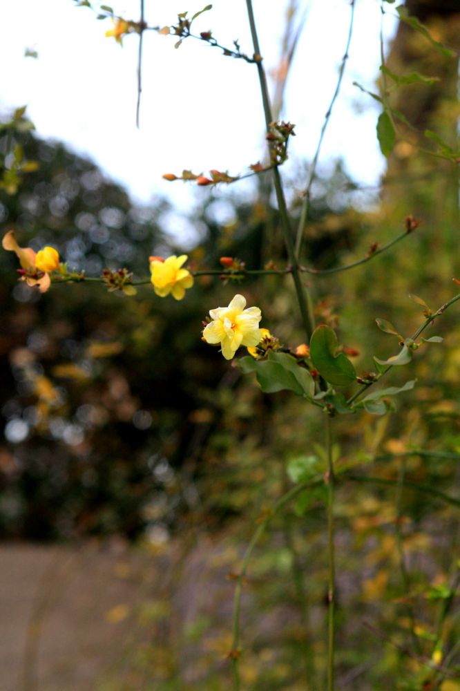 20130214ryokasenta04