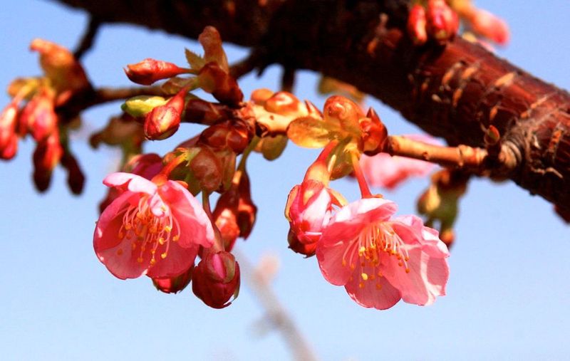 20130228gotandagawa01