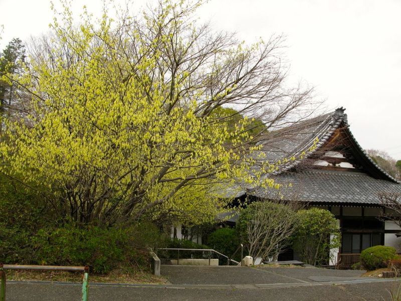 20130318syukoji01