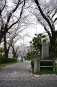 20130330白山神社03