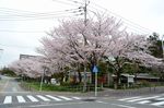 20130330白山神社02