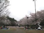 20130330夢見ケ崎動物公園04