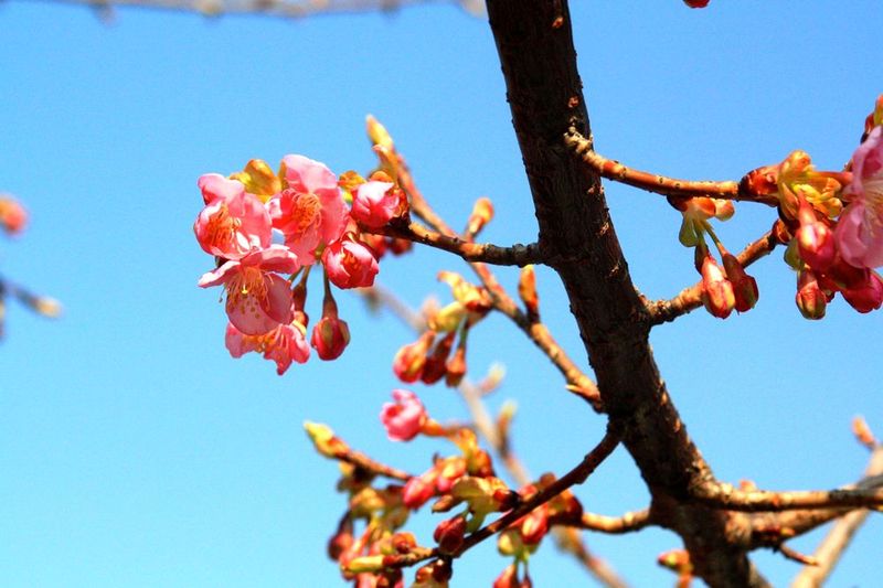 20130228gotandagawa04