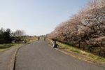 130322nishigawara02