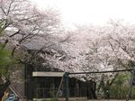 20130401黒川青少年野外活動センター02