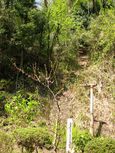 20130404minkaen_suimitutou01
