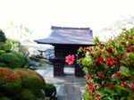 20130413tokakuin05