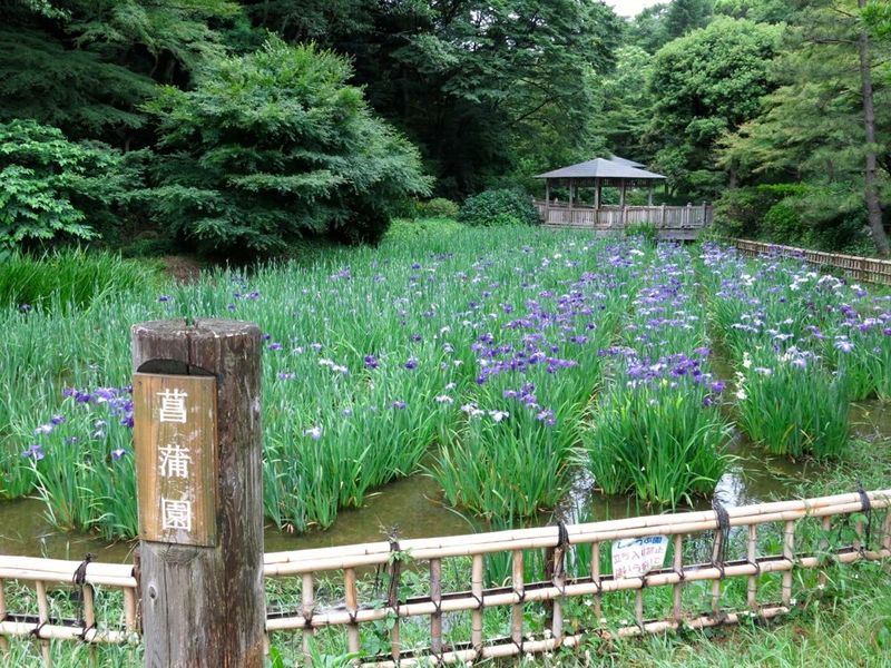 20130530ikutaryokuchisyoubuen01