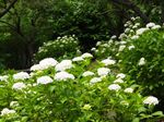 20130602jyokeiji01