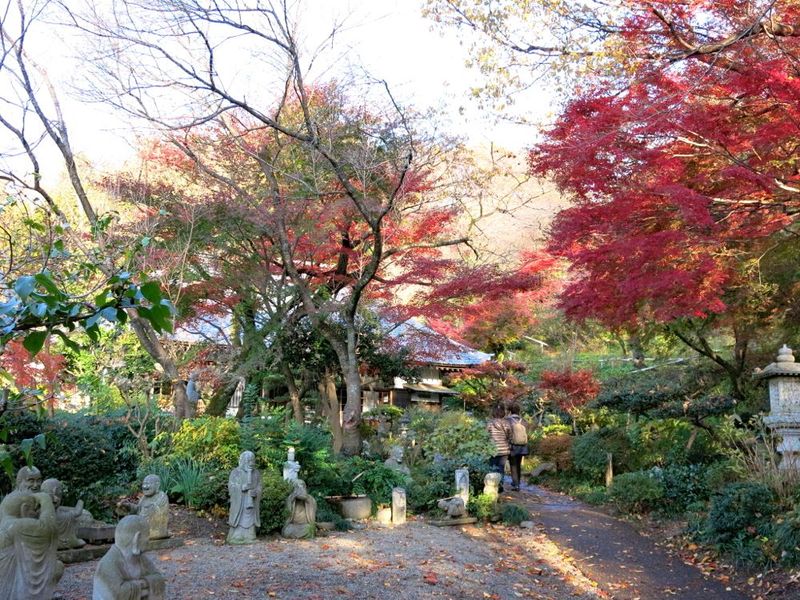 20131126jyokeiji02