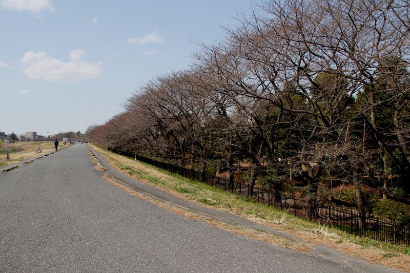 140323tamagawa 03