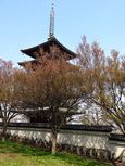 20140410korinji_kohigan02