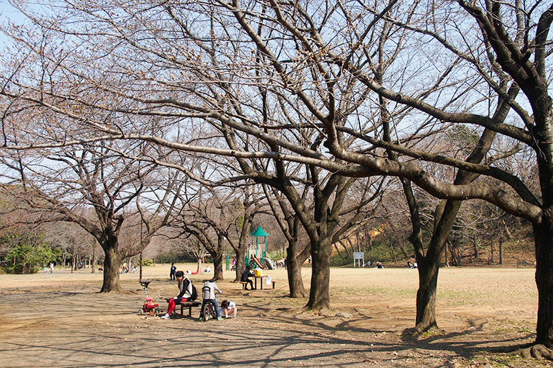 140325140325sugaoryokuchi02