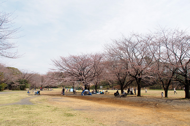 140329140329sugaoryokuchi03