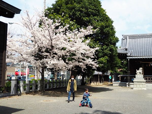 20140401shinjyojinjya05