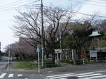 160331白山神社