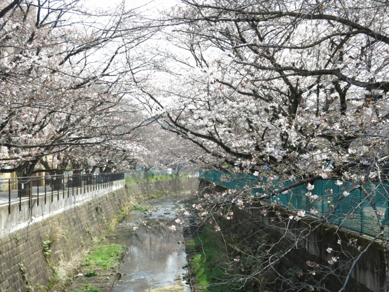 IMG_0553麻生川橋 (1024x768)