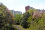 白山神社１