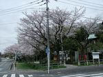 160408白山神社