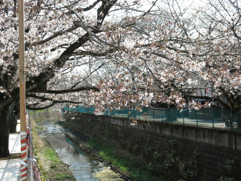 IMG_0555麻生川橋 (1024x768)