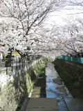 IMG_0575麻生川橋