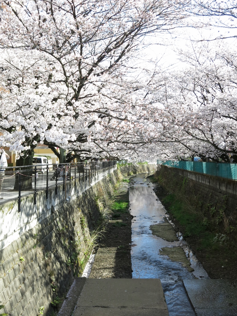 IMG_0575麻生川橋