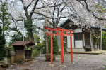 須賀神社４