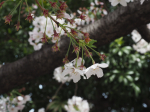 20170410_45