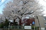 須賀神社２