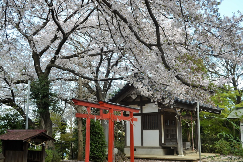 須賀神社３