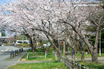 DSC_0165.jpg白山神社１