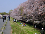 DSCF5440