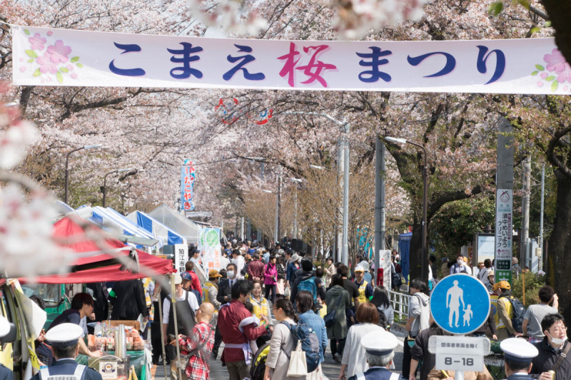 190403sakuramatsuri008