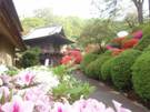 090419toukakuji07