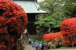 090420toukakuji03