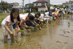 080607taue03