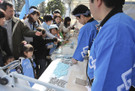 080307frontale07