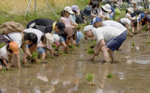 080607taue01